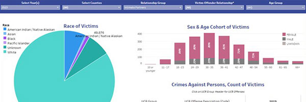 Domestic Violence